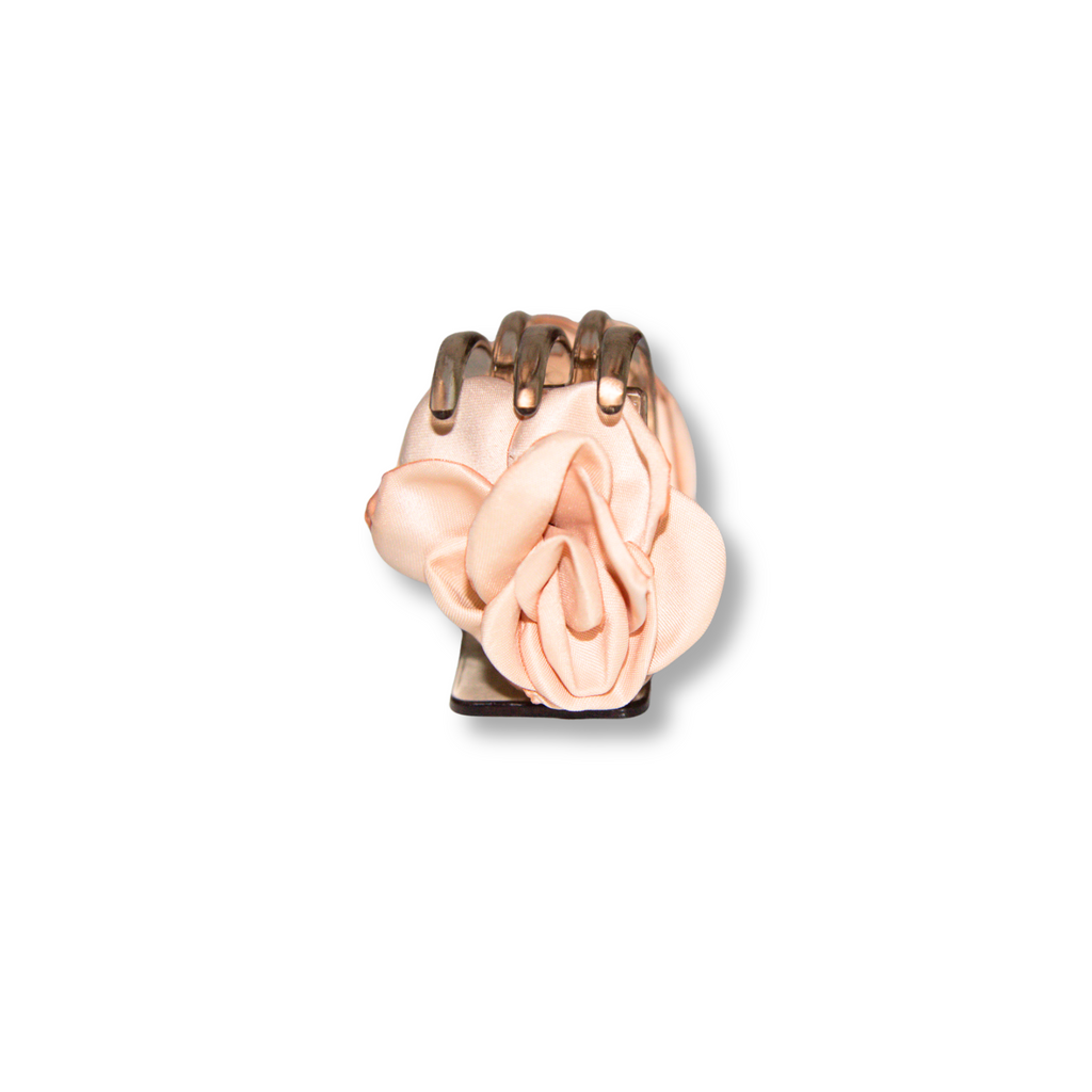 Petite Claw Clip in Azalea