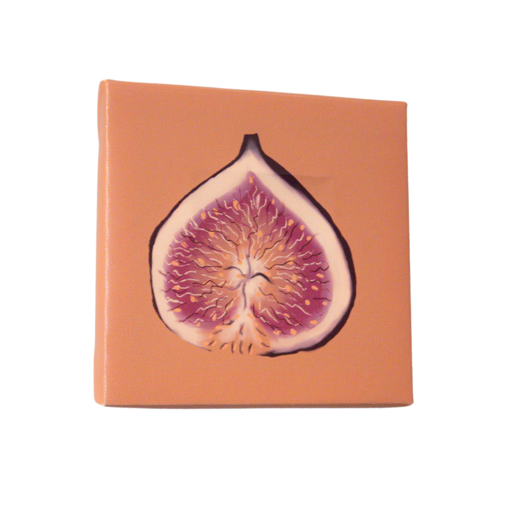 The Fig Canvas